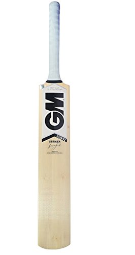 GM Icon F2 Striker Kashmir Willow Cricket Bat, Junior Size 5