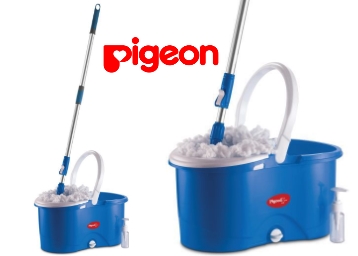 Pigeon